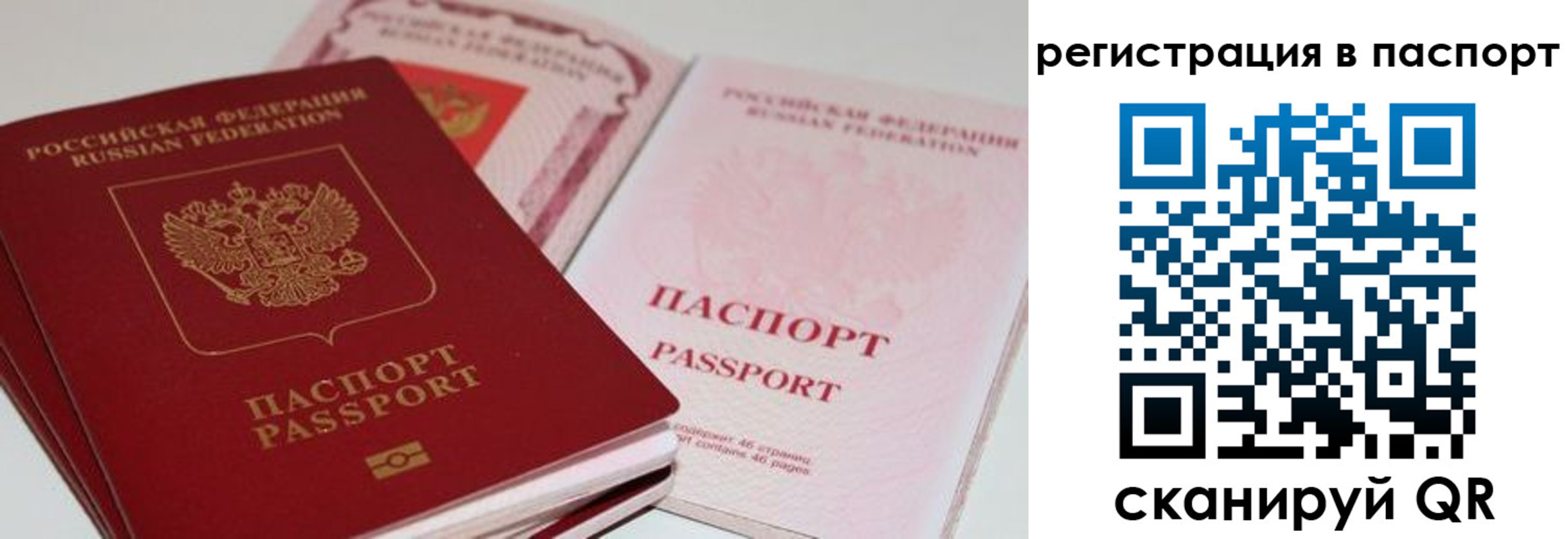 найти адрес прописки в Торжоке
